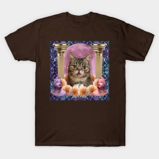 internet cat paradise T-Shirt